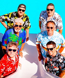 Tribute to the Beach Boys
